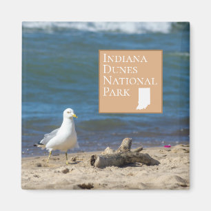 Indiana Dunes National Park Gift Magneet