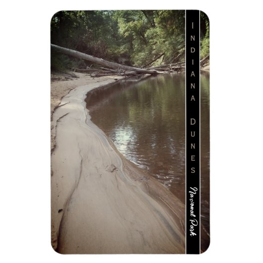Indiana Dunes National Park Scemic Creek Photo Pos Magneet (Verticaal)