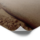 Indiana Dunes National Park Schilderachtig Creek F Poster (Hoek)