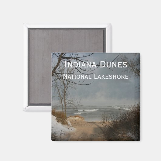 Indiana Dunes, oever, bewolkt, winter Magneet (Voorkant / Achterkant)