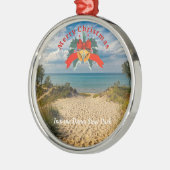Indiana Dunes State Park Kerstmis Metalen Ornament (Links)