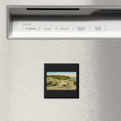 Indiana Dunes State Park, Michigan, Indiana Magneet (Insitu (Vaatwasser))