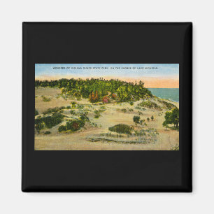 Indiana Dunes State Park, Michigan, Indiana Magneet