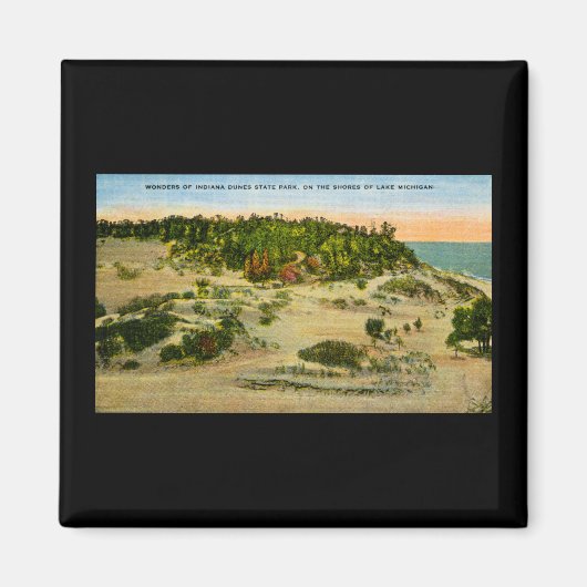 Indiana Dunes State Park, Michigan, Indiana Magneet (Voorkant)