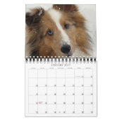 Indiana Dynamite. Dog of Action Calendar Kalender (Jan 2027)