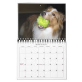 Indiana Dynamite. Dog of Action Calendar Kalender (Mar 2027)