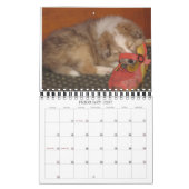 Indiana Dynamite. Dog of Action Calendar Kalender (Feb 2027)