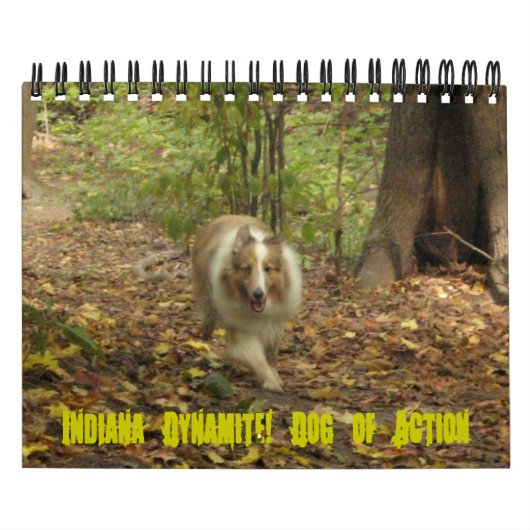 Indiana Dynamite. Dog of Action Calendar Kalender (Hoes)