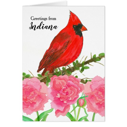 Indiana Hello Red Cardinal Watercolor Bird (Voorkant)
