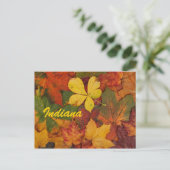 Indiana Herfstbladeren Ansichtkaart Briefkaart (Staand voorkant)