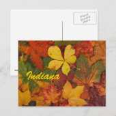 Indiana Herfstbladeren Ansichtkaart Briefkaart (Voorkant / Achterkant)