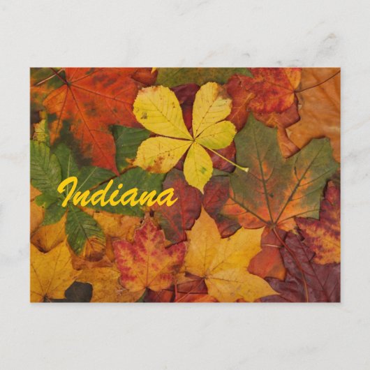 Indiana Herfstbladeren Ansichtkaart Briefkaart (Voorkant)