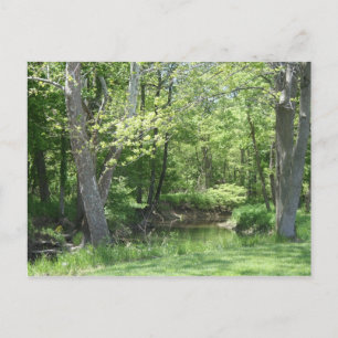 Indiana in openlucht briefkaart