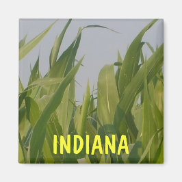 Indiana Magnet