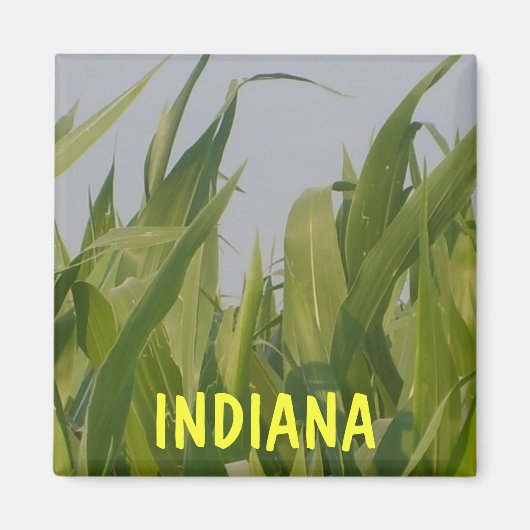 Indiana Magnet (Voorkant)