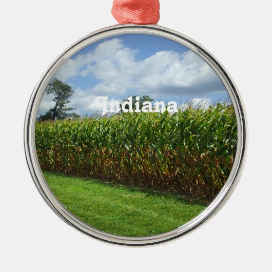 Indiana Metalen Ornament (Voorkant)