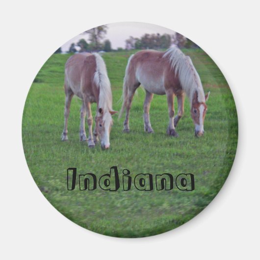 Indiana Paarden Magneet (Voorkant)