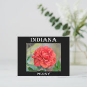 Indiana Peony Briefkaart (Staand voorkant)