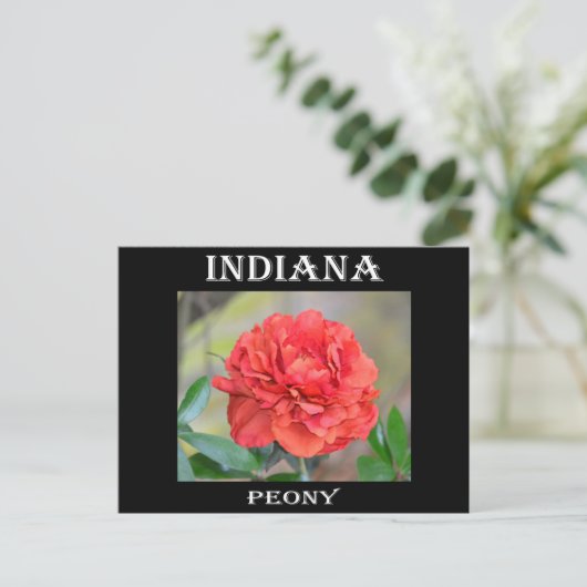 Indiana Peony Briefkaart (Staand voorkant)
