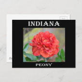 Indiana Peony Briefkaart (Voorkant / Achterkant)