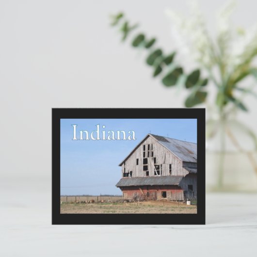 Indiana-schors Briefkaart (Staand voorkant)