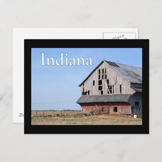 Indiana-schors Briefkaart (Voorkant / Achterkant)