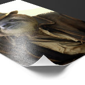 Indiana Sloth Foto Afdruk (Hoek)