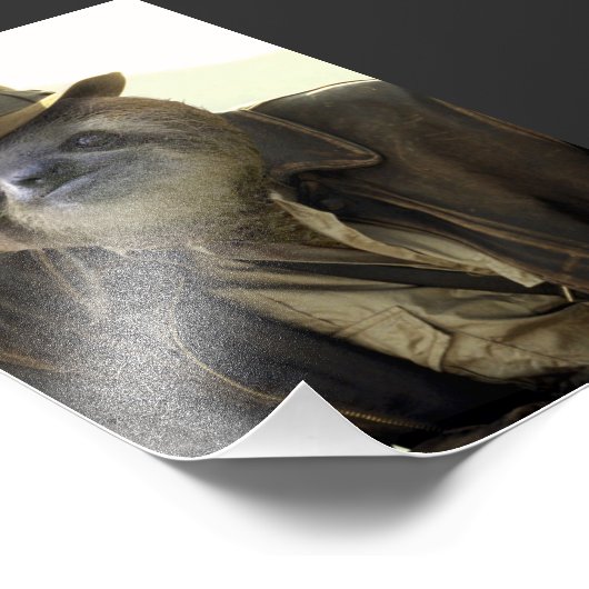 Indiana Sloth Foto Afdruk (Hoek)