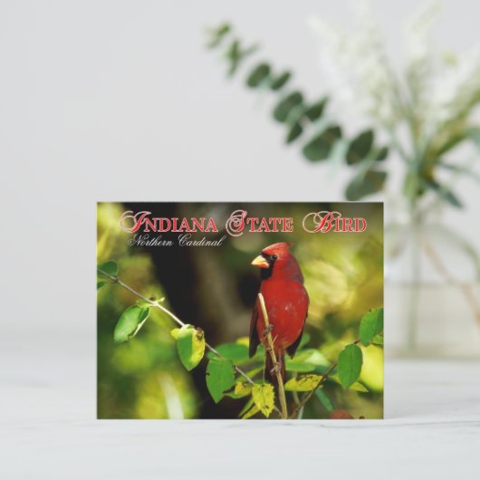 Indiana State Bird - Northern Kardinaal Briefkaart (Staand voorkant)