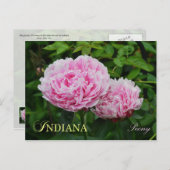 Indiana State Flower: Peony Briefkaart (Voorkant / Achterkant)