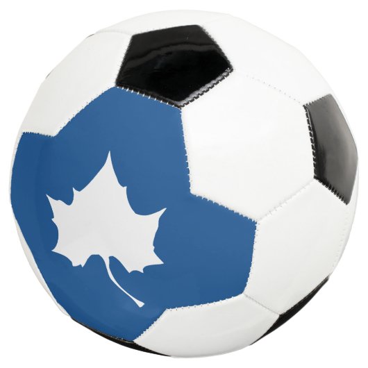 Indiana State Leaf Voetbal (Drie kwart)