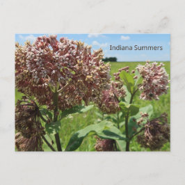 Indiana Summers Briefkaart