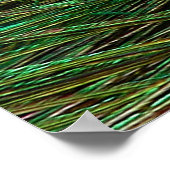 Indianenblauw Poster met peacock (Hoek)