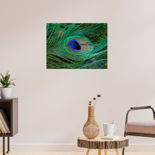 Indianenblauw Poster met peacock