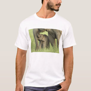 Indiase / Aziatische olifant en jong,Corbett 2 T-shirt