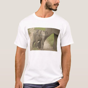 Indiase / Aziatische Olifant en jong,Corbett 2 T-shirt
