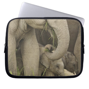 Indiase / Aziatische Olifant en jong, Corbett 3 Laptop Sleeve