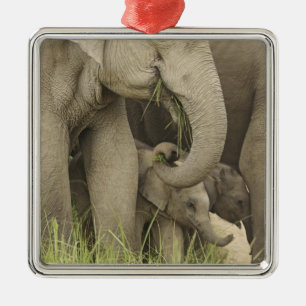 Indiase / Aziatische Olifant en jong, Corbett 3 Metalen Ornament