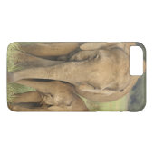 Indiase / Aziatische Olifant en jong,Corbett Case-Mate iPhone Case (Achterkant (Horizontaal))