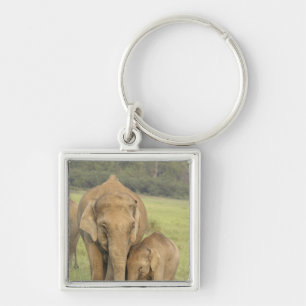 Indiase / Aziatische Olifant en jong,Corbett Sleutelhanger
