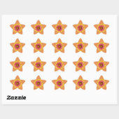 Indiase Blanket Star Sticker (Vel)