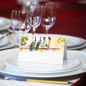 Indiase bruiloft pauw Jaipur paleis receptie Plaatskaartje