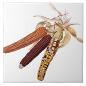  Indiase Corn Tile Tegeltje (Voorkant)