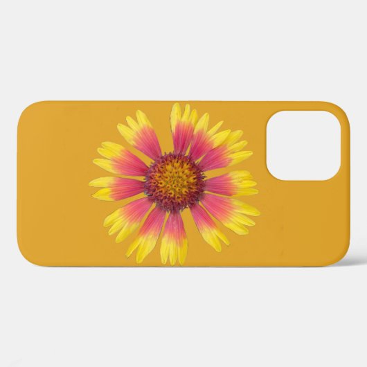 Indiase deken iPhone Case (Achterkant (horizontaal))
