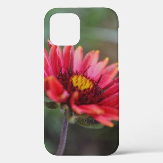 Indiase deken Wildflower Art Telefoon Case (Achterkant)