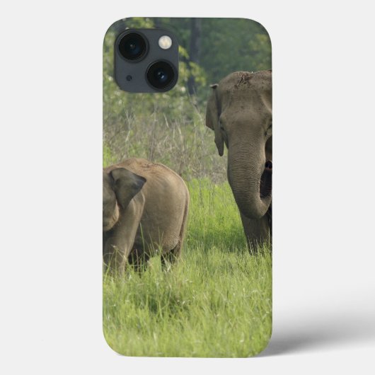 Indiase Elephant familie komt uit Case-Mate iPhone Case (Achterkant)