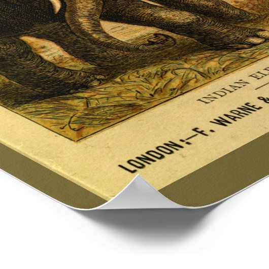  Indiase Elephant Natural History Print (Hoek)