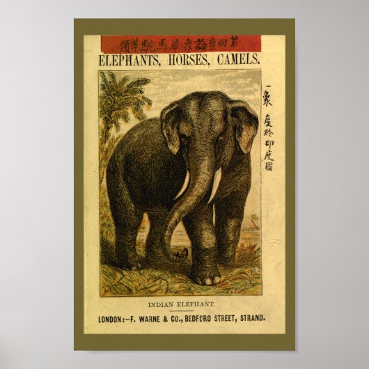  Indiase Elephant Natural History Print (Voorkant)