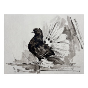 Indiase Fantail Duif Eyeliner Hen Perfect Poster