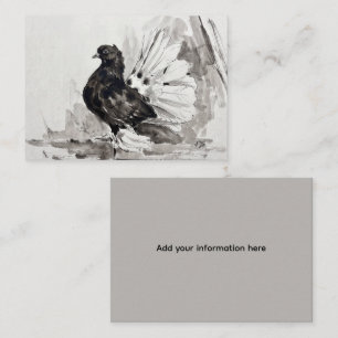 Indiase Fantail Duif Eyeliner Hen Visitekaartje